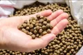 5mm Floating Fish Food (500g). 