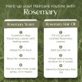 Organic Rosemary Leaves 30 grams | Best for Hair Growth - Nashpati Organics. 
