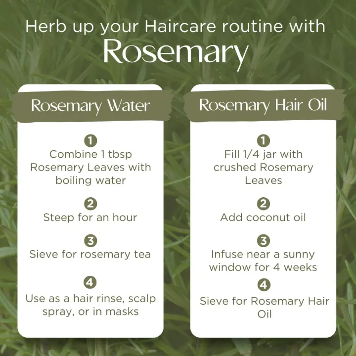Organic%20Rosemary%20Leaves%2030%20grams%20%7C%20Best%20for%20Hair%20Growth%20-%20Nashpati%20Organics%20-%20Image%204