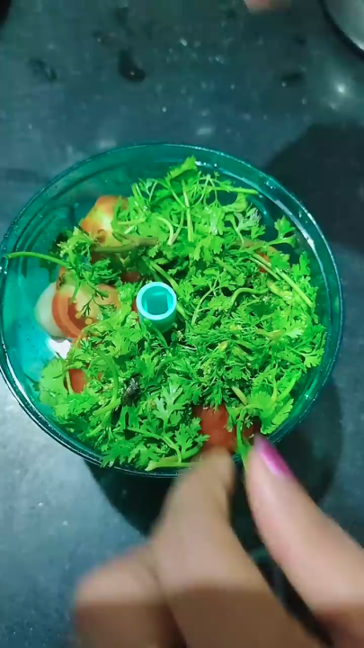 Simplify Food Preparation With The Anjani Brand Large Handy And Compact Chopper, Featuring Stainless Steel Blades For Efficient Chopping- Gold Palace