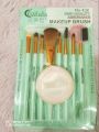 Make up Brushes Set Kit Tools Eye Shadow Blush Makeup Brush -9Pcs. 