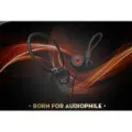 KZ ZS3 detachable monitor earphone Thai insurance normal model (black). 