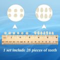 6 Sets Acrylic Resin Fake Teeth Artificial Teeth Denture Dental Tooth Prop Synthetic Resin Denture for Replacement DIY Halloween. 