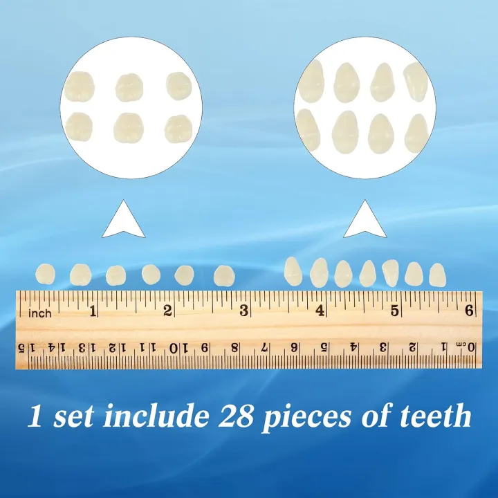 6%20Sets%20Acrylic%20Resin%20Fake%20Teeth%20Artificial%20Teeth%20Denture%20Dental%20Tooth%20Prop%20Synthetic%20Resin%20Denture%20for%20Replacement%20DIY%20Halloween%20-%20Image%203