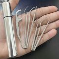 1set-Stainless Steel Toothpick Set Tooth Flossing Reusable Toothpicks Portable Toothpick Floss Teeth Cleaner Oral Cleaning. 