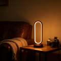 1PC Oval LED Table Lamp, Modern Warm White Night Light, Decorative Desk Lamp for Bedroom, Closet, Vanity, Home Decor. 