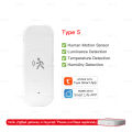 Zigbee 10G MmWave Radar Motion Sensor Human Detector with Illuminance Temperature Humidity Sensor Support Tuya Zigbee2MQTT.