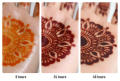 only 1x organic henna cone mehendi, totally chemical free, magic cone, transition from light orange to dark maroon in 12 hours, best for sensitive skin, stain last long upto 10 days, 30-35grams cone size bigger than the normal market size. 