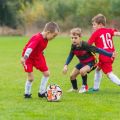 Professional Soccer Balls Size 5 Football Ball Leather Machine-stitched Soccer Ball for Children Adults Outdoor Sport Training. 