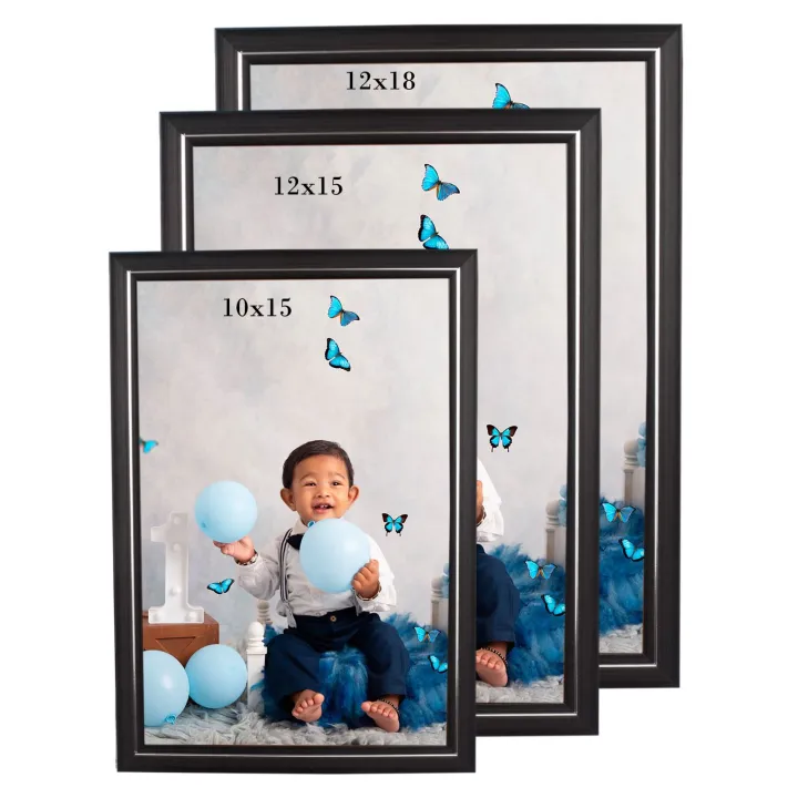 Poster Frame 10 X 12 Photo Frame In Cm 10x12 Frame Silver Real