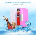 Car Freezer 4L Mini Fridge Refrigerator Dual Use 12V Cooler Heater. 