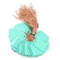 100 Pcs Hanging Colorful Garden Tags with String, Writable Marking Label, Waterproof PVC Plastic Tag for Plant, Flower, Tree, Bonsai,Orchid & Outdoor Gardening, Plants Name Tags Labels Marker Nursery From Green Messenger by Garden Close(3 Different Size).