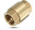 1" Non Return Valve/ One Way Valve Brass. 