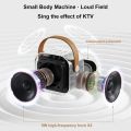 K12 Karaoke Machine Portable 5.3 PA Bluetooth Speaker System with 2 Wireless Microphones Home Family Singing Children's Gifts. 