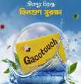 4 piece Gacotouch body wash antiseptic anti allergy Neem Soap Anti- Itch Triple Action Bath Soap. 
