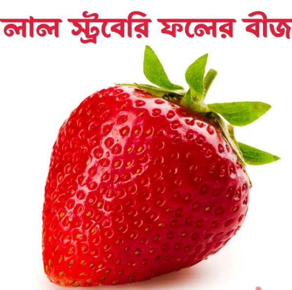 Red%20Strawberry%20seed%2015%20pcs%20&%20Red%20Dragon%20seed%2015%20pcs.%20(Repack%20&%20Gift-%204%20items.)%20-%20Image%202
