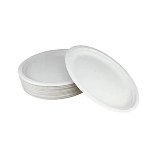 Onetime%20use%20plates%208%20inches-25%20pieces%20onetime%20plates%20-%20Image%202