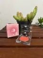 LAMEILA powder blush concealer. 