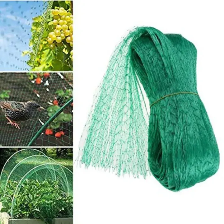 Netting Against Anti Bird Net - Nylon Netting (4 by 8 Meter) garden protection for ...