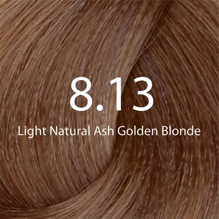 Eazicolor%208.13%20Light%20Natural%20Ash%20Golden%20Blonde%20With%20Developer%20-%20Image%203