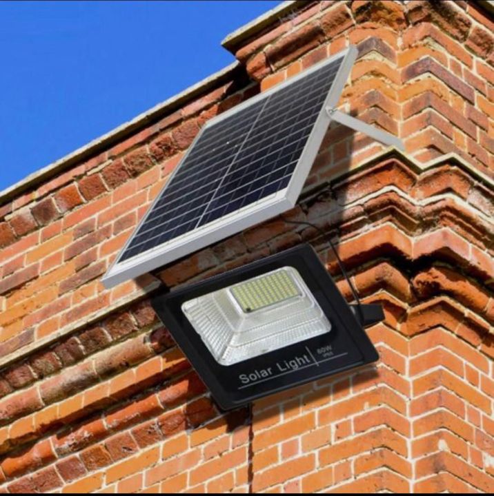 Solar Flood Light IP67 remote control With Solar Plate and Battery ...