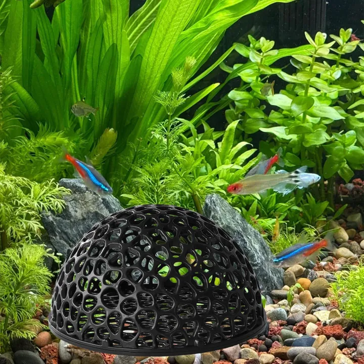 %E3%80%902025%20NEW%E3%80%91%20Shrimp%20Breeding%20Cave%20fish%20tank%20Shrimp%20Hiding%20Place%20Aquarium%20Decoration%20Hiding%20Tools%20Supplies%20Betta%20Habitat%20Fish%20Resting%20Place%20-%20Image%205