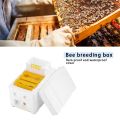 Beehive Beekeeping Box Tools For Beekeeper Supplies Bee Hive Frame Holder Equipment Kit Beehive Pollination King Bees Hive Box. 