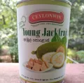 Organic Young Jackfruit in Brine. 