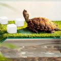 6 Pcs Fish Tank Calcium Block Minerals Aquarium Supply Crawl Cube for Reptile Grinding Tortoise Stones Tank Calcium for Snails.