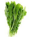 jarjeer salad seeds. 