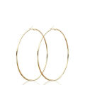 2pcs 30-100mm Small Big Circle Hoop Earrings for Women Men, Stainless Steel Ear Ring Fashion Jewelry Gift Nightclub DJ. 