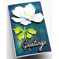 Blooming Anemone Magnolia Flowers Cutting Dies Set Happy Spring Script Sentiment Words DieCut for DIY Paper Card Making 2024 New. 