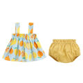Summer Newborn Baby Clothes For Girls Boys Set Print Thin Mini Dress And PP Shorts 2Pcs Set Infant Baby Clothing Outfit 6-24M.