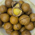 Macadamia Nuts 250 grams | Chabi wale akhrote. 