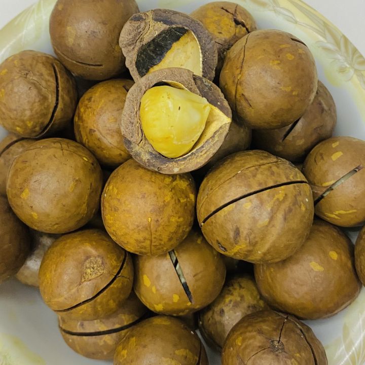 Macadamia%20Nuts%20250%20grams%20%7C%20Chabi%20wale%20akhrote%20-%20Image%207