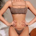 Hot Sale New Design 2 Piece Leopard Ice Silk Bralette Wireless Fitness Tracelss Bra Brief Seamless Bra And Panty Set For Women.