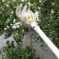 Yellow Polypropylene Fruit Picker Lightweight Reusable Ergonomic for Garden Harvesting Orchard Farm Food Safe Tool 1PC. 