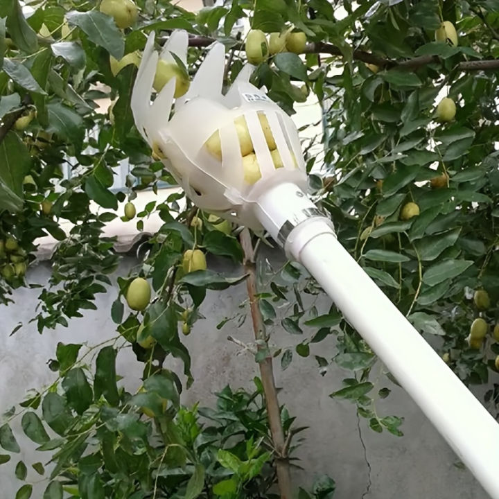 Yellow%20Polypropylene%20Fruit%20Picker%20Lightweight%20Reusable%20Ergonomic%20for%20Garden%20Harvesting%20Orchard%20Farm%20Food%20Safe%20Tool%201PC%20-%20Image%205