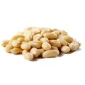 Unroasted Peanuts Plain Dana Raw Peanuts 1Kg. 