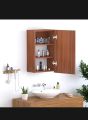 bathroom cabinet with door. 