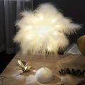 1PC Feather Design LED Table Lamp for Kids - Battery-Powered, Portable & Ideal Bedroom Decor for All Ocns. 