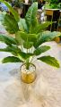 Artificial green plant. 