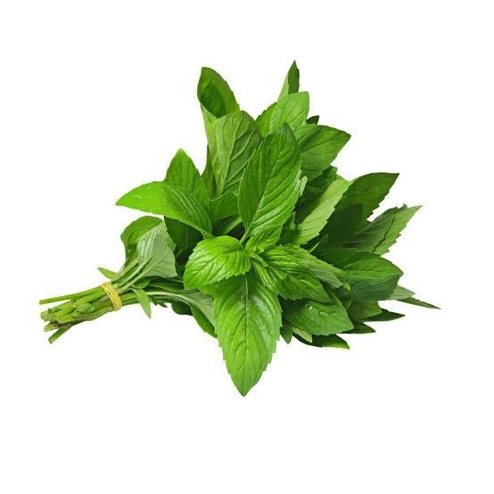 Green%20Chattni%20Chilli%20Mint%20-%20Image%204