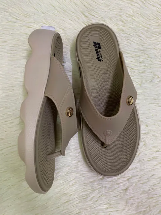 Pinnip%20-%20Image%202