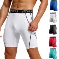 2023 Compression Shorts Men Summer Sportswear Training Tights Gym Fitness Leggings Short Pants Sport Bottoms Running Shorts Men. 