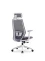 Ergonomics Home Office Chair S206- Series. 