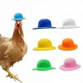 Funny Chicken Top Hat - Elegant Show Costume Accessory for Chickens, Roosters, Ducks, Parrots & Hamsters. 