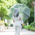 Japanese Transparent Umbrella. 