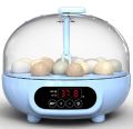 18 Small Eggs Intelligent Incubator for LoveBirds, Pigeon, Raw Parrots & Small Size Eggs. 