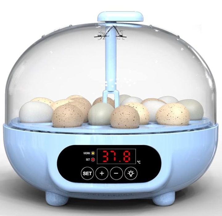 18 Small Eggs Intelligent Incubator for LoveBirds, Pigeon, Raw Parrots & Small Size Eggs